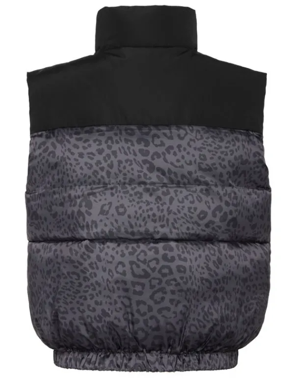 Donna | Giacche^Plein Sport Padded Vest Leopard